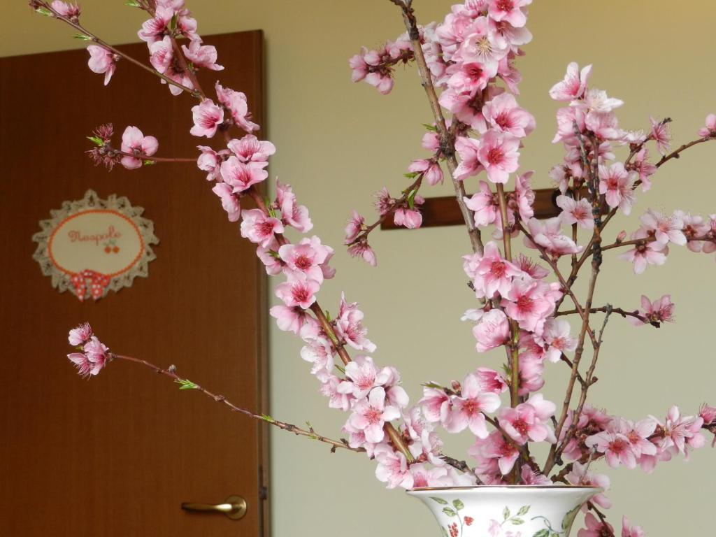 奥尔莫迪卡西格理雅诺农家乐 瑟萨帕洛姆 外观 照片